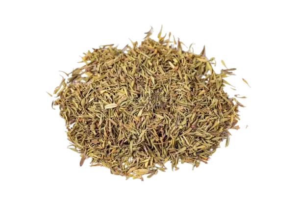 الزعتر