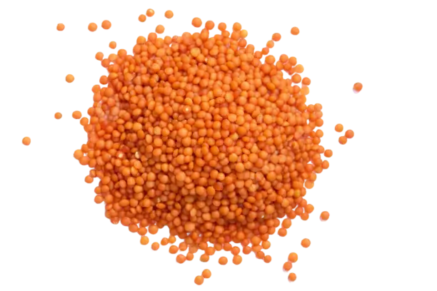 Lentils