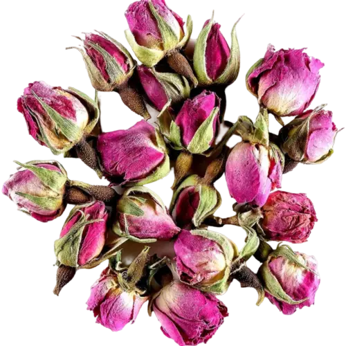  Damask rose