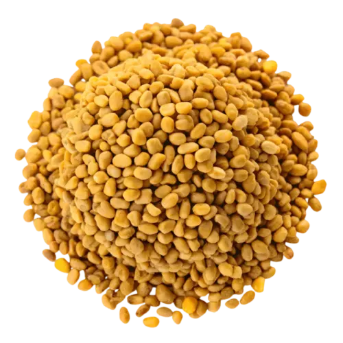 Fenugreek