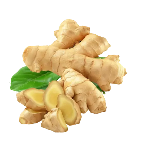 Ginger