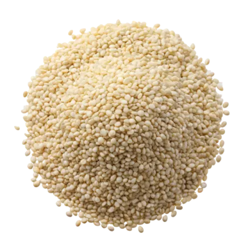 Sesame 